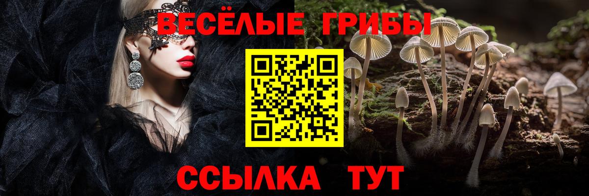 Галлюциногенные грибы Magic Shrooms Михайловск